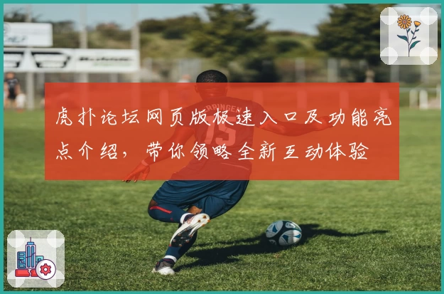 虎扑论坛网页版极速入口及功能亮点介绍，带你领略全新互动体验