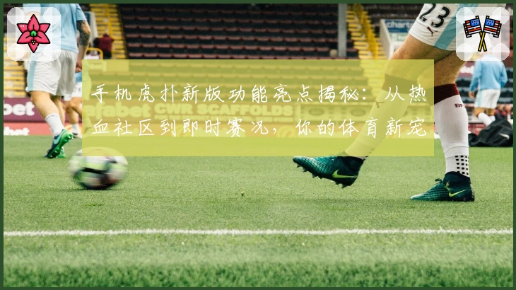 手机虎扑新版功能亮点揭秘：从热血社区到即时赛况，你的体育新宠